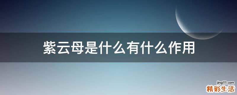 紫云母是什么有什么作用