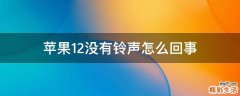 苹果12没有铃声怎么回事