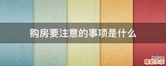 购房要注意的事项是什么
