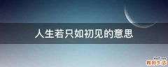 人生若只如初见的意思