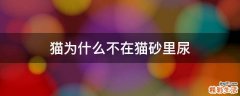 猫为什么不在猫砂里尿