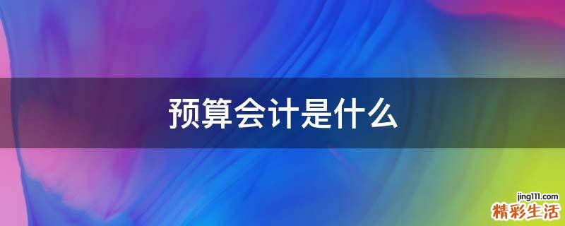 预算会计是什么