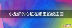 小龙虾的心脏在哪里蚂蚁庄园