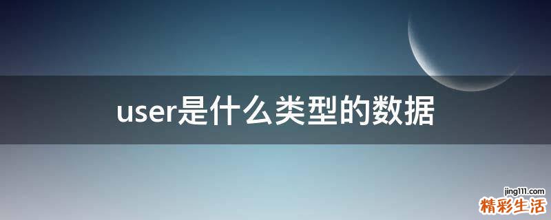 user是什么类型的数据