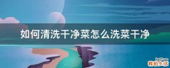 如何清洗干净菜怎么洗菜干净