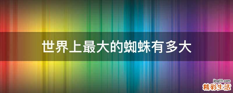 世界上最大的蜘蛛有多大