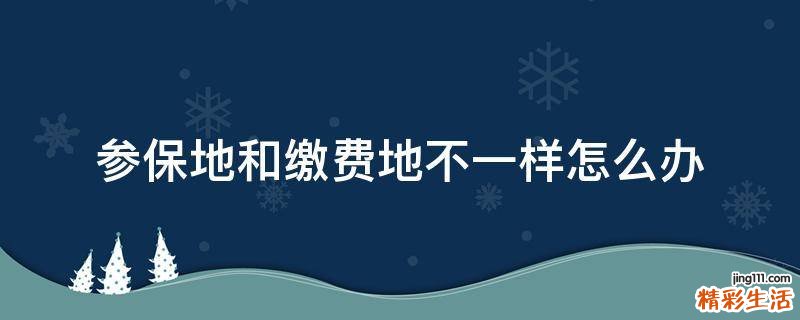 参保地和缴费地不一样怎么办