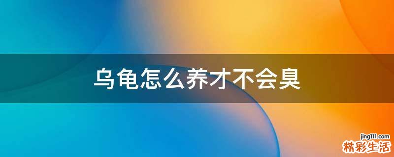 乌龟怎么养才不会臭