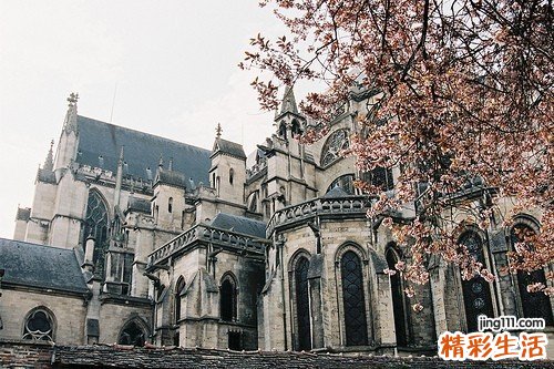 3 揭秘：聪明人也会做傻决定的心理暗流