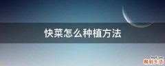 快菜怎么种植方法