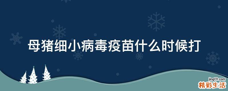母猪细小病毒疫苗什么时候打