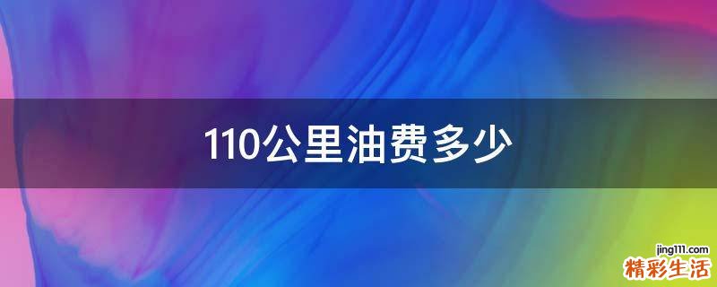 110公里油费多少
