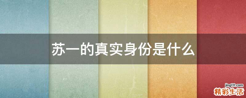 苏一的真实身份是什么