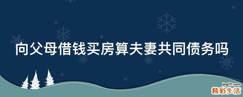 向父母借钱买房算夫妻共同债务吗