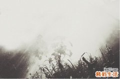2 中老年人抑郁症的临床表现
