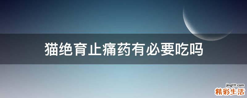 猫绝育止痛药有必要吃吗
