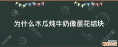 为什么木瓜炖牛奶像蛋花结块