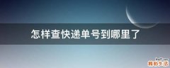 怎样查快递单号到哪里了