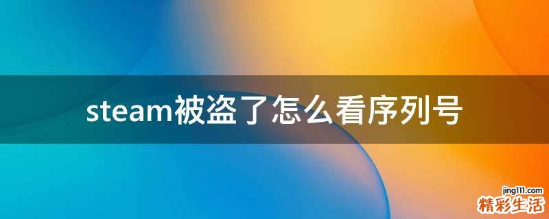 steam被盗了怎么看序列号