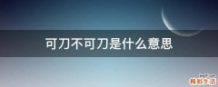 可刀不可刀是什么意思