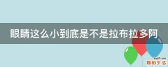 眼睛这么小到底是不是拉布拉多阿