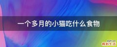 一个多月的小猫吃什么食物