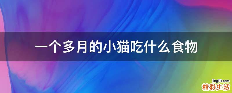 一个多月的小猫吃什么食物
