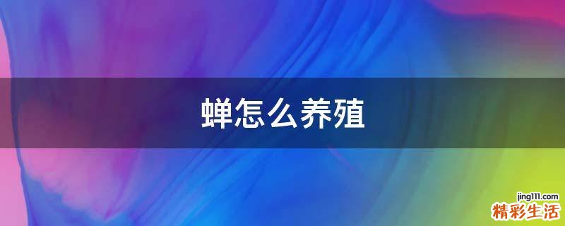 蝉怎么养殖