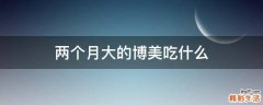 两个月大的博美吃什么
