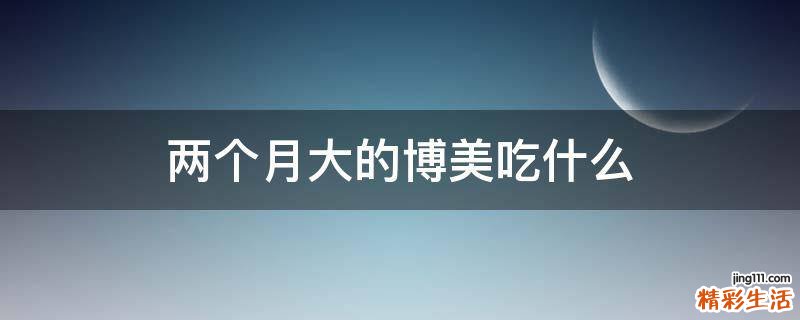两个月大的博美吃什么