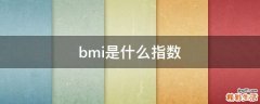 bmi是什么指数