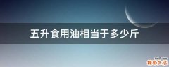 五升食用油相当于多少斤