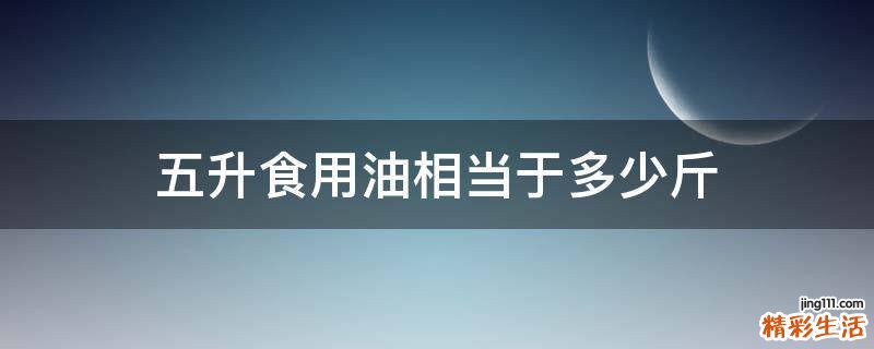 五升食用油相当于多少斤