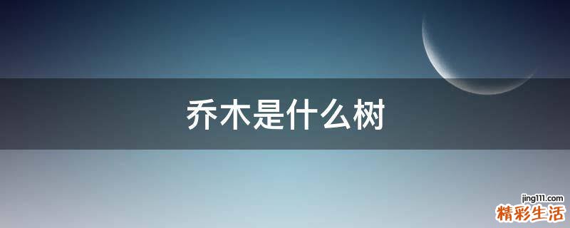 乔木是什么树