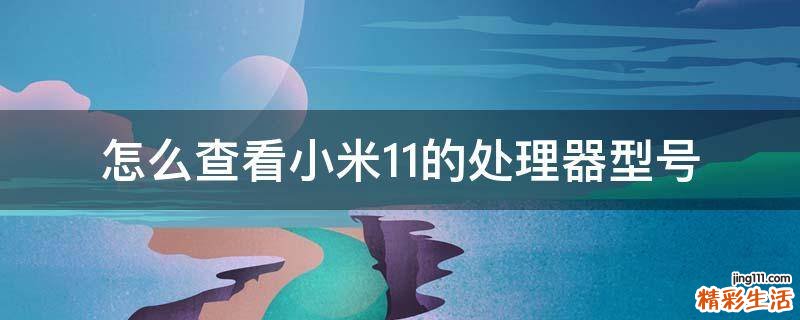 怎么查看小米11的处理器型号