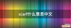 scarf什么意思中文
