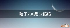 鞋子230是37码吗