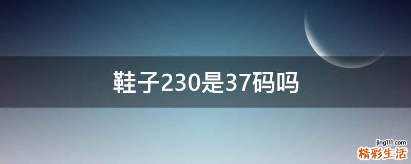 鞋子230是37码吗