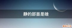 静的部首是啥