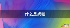 什么是奶咖