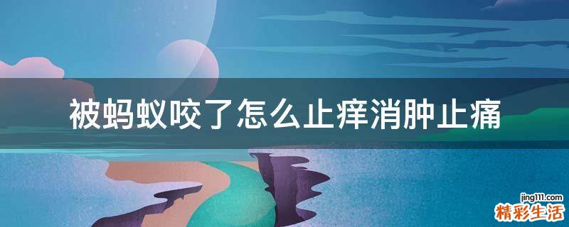 被蚂蚁咬了怎么止痒消肿止痛