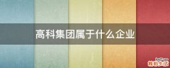 高科集团属于什么企业