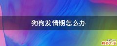 狗狗发情期怎么办