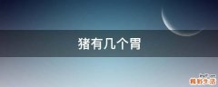 猪有几个胃