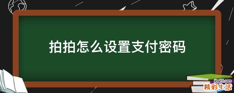 拍拍怎么设置支付密码