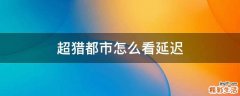 超猎都市怎么看延迟