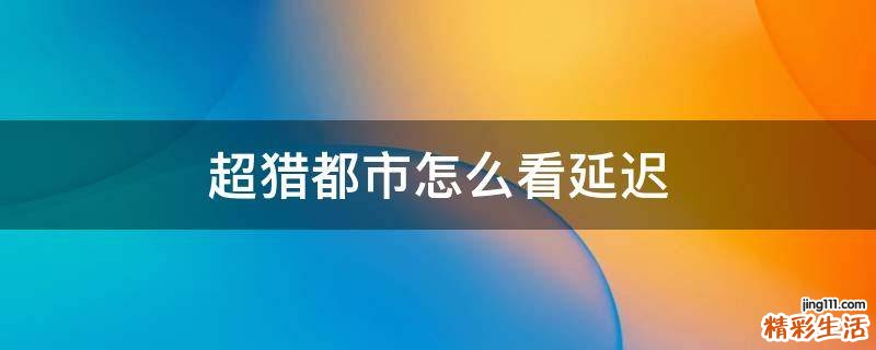 超猎都市怎么看延迟