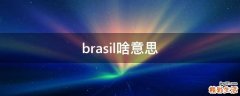 brasil啥意思