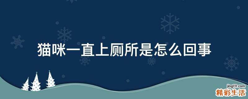 猫咪一直上厕所是怎么回事