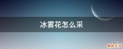 冰雾花怎么采